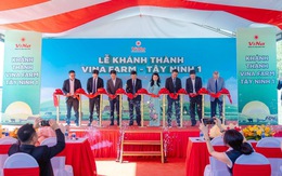 Khánh thành trang trại nuôi heo công nghệ cao Vina Farm - Tây Ninh 1