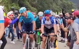 Tay đua xe đạp bị cướp mắt kính khi đang thi đấu