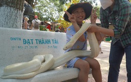 Hàng ngàn du khách tham quan trại rắn lớn nhất miền Tây