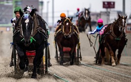 Kỳ thú cuộc đua ngựa thồ chậm nhất Nhật Bản