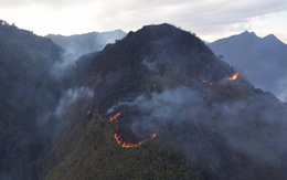 Cơ bản khống chế được vụ cháy rừng ở Vườn quốc gia Hoàng Liên