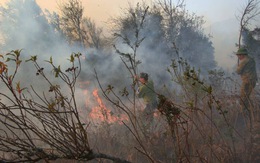 Cháy rừng ở Vườn quốc gia Hoàng Liên đã lan ra 25ha, huy động 600 người dập lửa