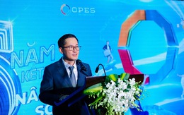 Năm 2024 OPES hướng vào top 10 công ty bảo hiểm phi nhân thọ lớn nhất Việt Nam