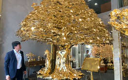 Ngắm cây bồ đề mạ vàng hơn 24 tỉ đồng ở quận Bình Thạnh