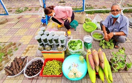 Tìm món hương đồng gió nội cho ngày Tết - Kỳ cuối: Dạo mua món Tết đồng quê ở chợ phố