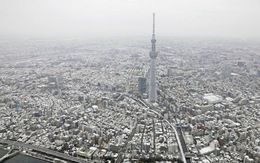 Tuyết rơi dày khiến hơn 100 người nhập viện ở Tokyo, Nhật Bản