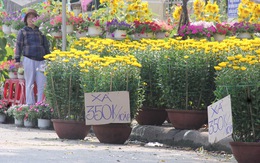 Người bán hoa Tết ở Quảng Ngãi: Mua giúp đi, xả lỗ rồi đừng trả nữa