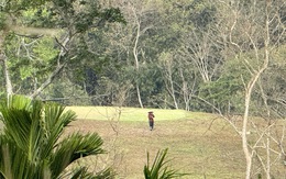 Giám đốc ngân hàng tiếp tục mở rộng sân golf mini không phép trên đất rừng?