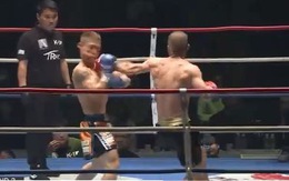 Võ sĩ kickboxing Nga xoay 180 độ đấm knock-out đối thủ lập tức