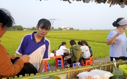 Độc đáo chợ ẩm thực bên cánh đồng chiều ‘chill chill’ ở Bà Rịa - Vũng Tàu