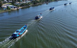 Nhiều tàu câu mực mất kết nối thiết bị giám sát hành trình khu vực giáp ranh Philippines