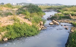 Nước thải không qua xử lý 'đầu độc' sông Trà Khúc