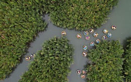 Quảng Nam sẽ mở tour du lịch mới cho dòng khách cấp cao ở rừng dừa Bảy Mẫu