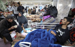 Israel kết luận người chết trong vụ đoàn xe viện trợ là do giẫm đạp