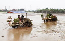Quy hoạch tỉnh Thái Bình: Nông nghiệp vẫn là ‘xương sống’ kinh tế