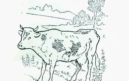 Thử tài tinh mắt: Cô gái vắt sữa bò đang ở đâu?