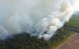 Cháy rừng sản xuất ở Cà Mau
