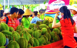 Festival trái cây Tiền Giang là cơ hội để xây dựng thương hiệu, thị trường