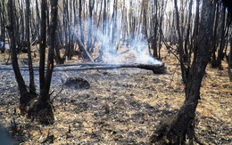 Cháy rừng ở Cà Mau: Phòng cháy lơ là, phương tiện hỏng hóc