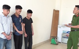 Bắt băng nhóm gây ra 50 vụ trộm, tiêu thụ hơn 2 tấn chó