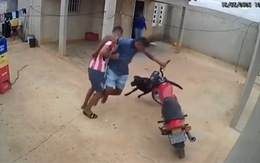 Hai thanh niên chạy quanh xe máy vì bị chó rượt