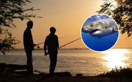 Chiến đấu với cá mập trắng bằng tay không để cứu con trai