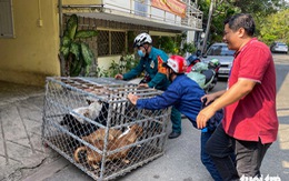 Muốn tặng ít tiền cho đội ngũ bắt chó: Được không và nơi nào nhận?