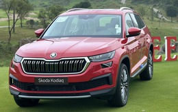 Tin tức giá xe: Skoda Karoq, Kodiaq giảm cao nhất gần 125 triệu đồng, tăng sức đấu xe Nhật, Hàn