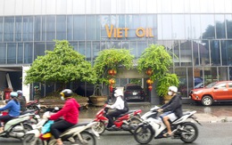 Ba cán bộ Bộ Công Thương bị bắt vụ Xuyên Việt Oil: Sóng ngầm cấp phép xăng dầu