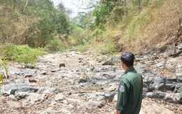 Vùng dự án hồ Ka Pét mùa nắng khát