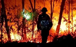Hàng trăm người được huy động dập lửa cháy rừng ở Nghệ An