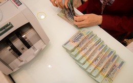 'Vua tiền mặt' đem thêm tiền gửi vào ngân hàng, lãi nhận về không tăng còn hụt