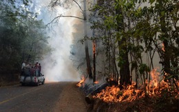 159 trận cháy rừng cùng lúc khiến một quốc gia nóng tới 45 độ C