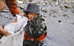 Ra quân 'giải cứu' kênh Nước Đen ngập ngụa rác
