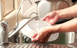 Rửa chén bát không đúng dễ khiến chất độc xâm nhập cơ thể