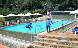 Nhân viên cứu hộ hồ bơi phản ứng cực nhanh khi thấy bé gái đuối nước