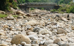 Vì sao suối Lương ở Đà Nẵng khô cạn, trơ trọi sỏi, đá?