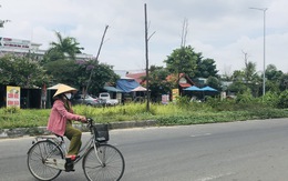 Cây xanh chết khô hàng loạt trên con đường trăm tỉ ở Đà Nẵng