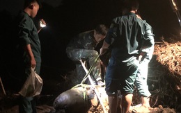 7 giờ xử lý quả bom nặng 350kg tại huyện Bình Chánh