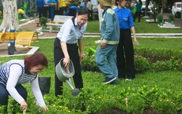 Khó mở thêm công viên lớn, quận Phú Nhuận phủ cây bằng ngàn mảng xanh nhỏ