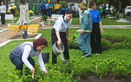Khó mở thêm công viên lớn, quận Phú Nhuận phủ cây bằng ngàn mảng xanh nhỏ