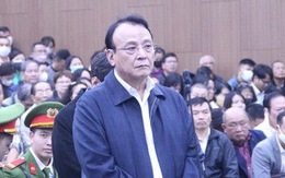 Chủ tịch Tân Hoàng Minh kháng cáo xin giảm nhẹ hình phạt
