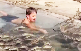 Cậu bé vui đùa tắm cùng đàn cá sấu