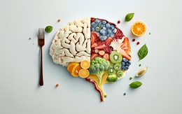 Chất dinh dưỡng nào làm chậm quá trình lão hóa não?