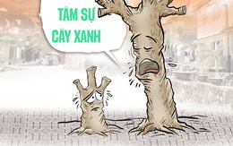 Cây xanh... đứt bóng, chẳng giúp ích gì cho đời