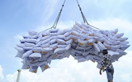 Lộc Trời trúng thầu 100.000 tấn gạo, có làm tăng giá lúa cho nông dân?