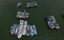 Khánh Hòa giám sát hàng trăm tàu cá không đủ điều kiện khai thác thủy sản