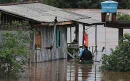 Thảm họa mưa lũ ở Brazil, ít nhất 39 người thiệt mạng