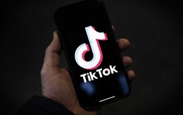 Đăng video bị sa thải lên TikTok: Tưởng hay ho nhưng cực kỳ rủi ro