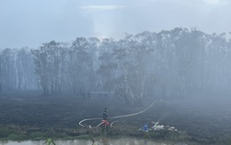 Cháy Vườn quốc gia Tràm Chim: Chủ tịch tỉnh Đồng Tháp giao công an điều tra